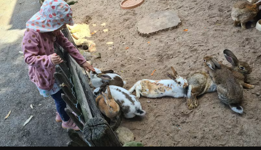 Erlebnispark Memleben, Germany